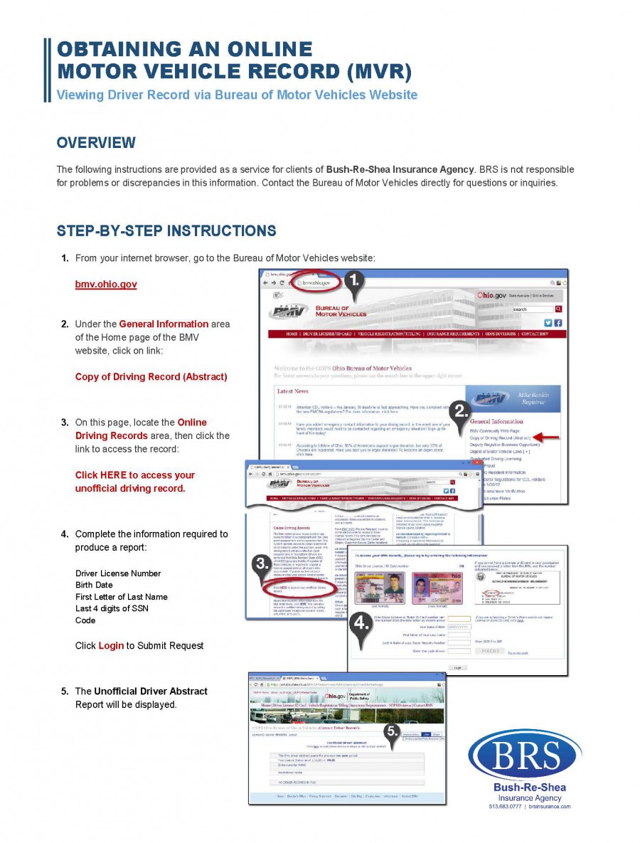 Obtaining An Online Motor Vehicle Record